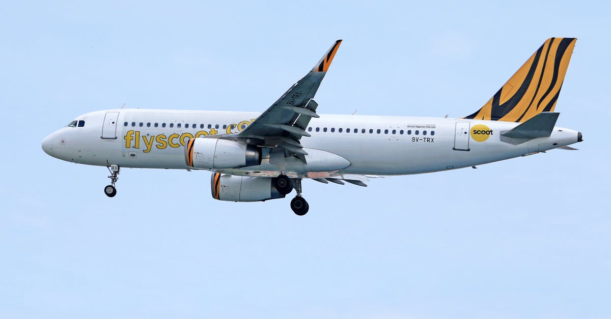 découvrez tout ce qu'il faut savoir sur les filiales d'entreprise : définition, fonctionnement, avantages et rôle stratégique dans le développement des groupes.