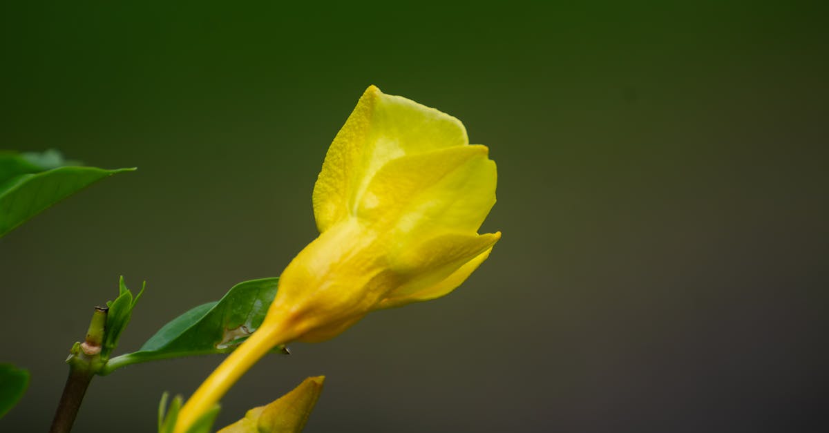 découvrez tout ce qu'il faut savoir sur la taxation des revenus airbnb en france, obligations fiscales, déclaration et conseils pour optimiser votre fiscalité.