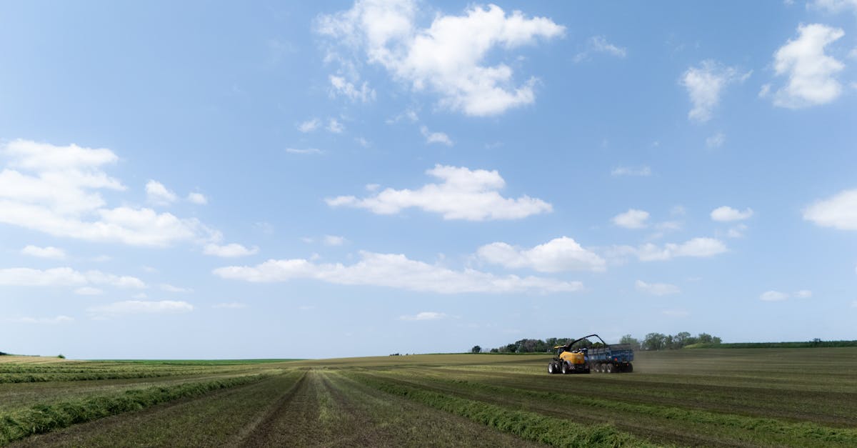 découvrez tout ce qu'il faut savoir sur la taxation des revenus airbnb en france : obligations fiscales, déclaration, conseils pour optimiser votre fiscalité.