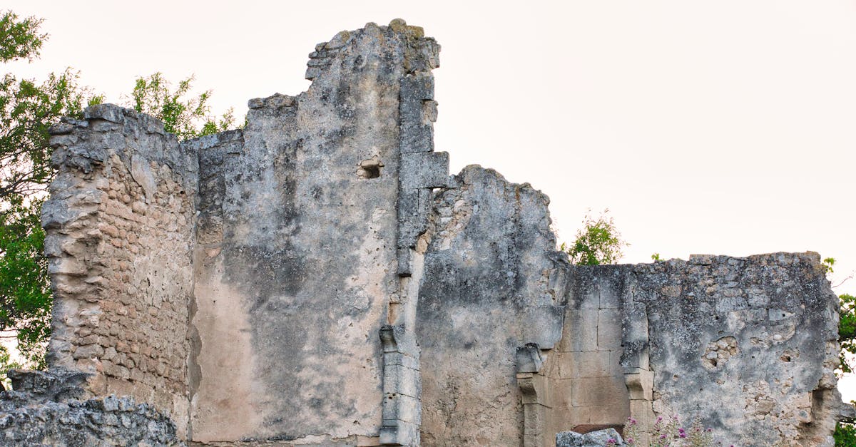 découvrez notre sélection d'antiquaires passionnés, spécialisés dans les objets d'art et meubles anciens authentiques.