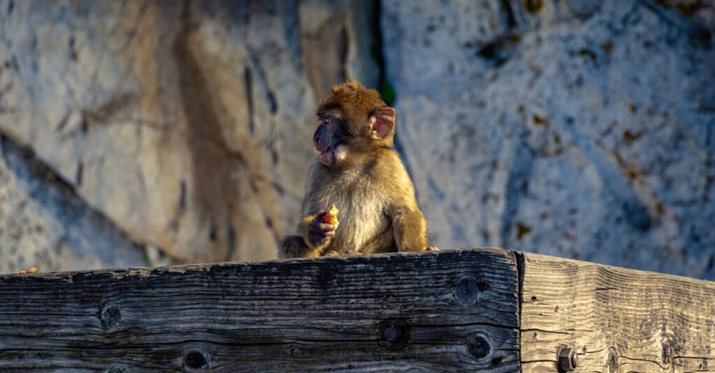 association ape code : découvrez notre organisation dédiée à l'accompagnement et au soutien des activités périscolaires pour les enfants. rejoignez-nous pour contribuer au développement éducatif et culturel de votre communauté.