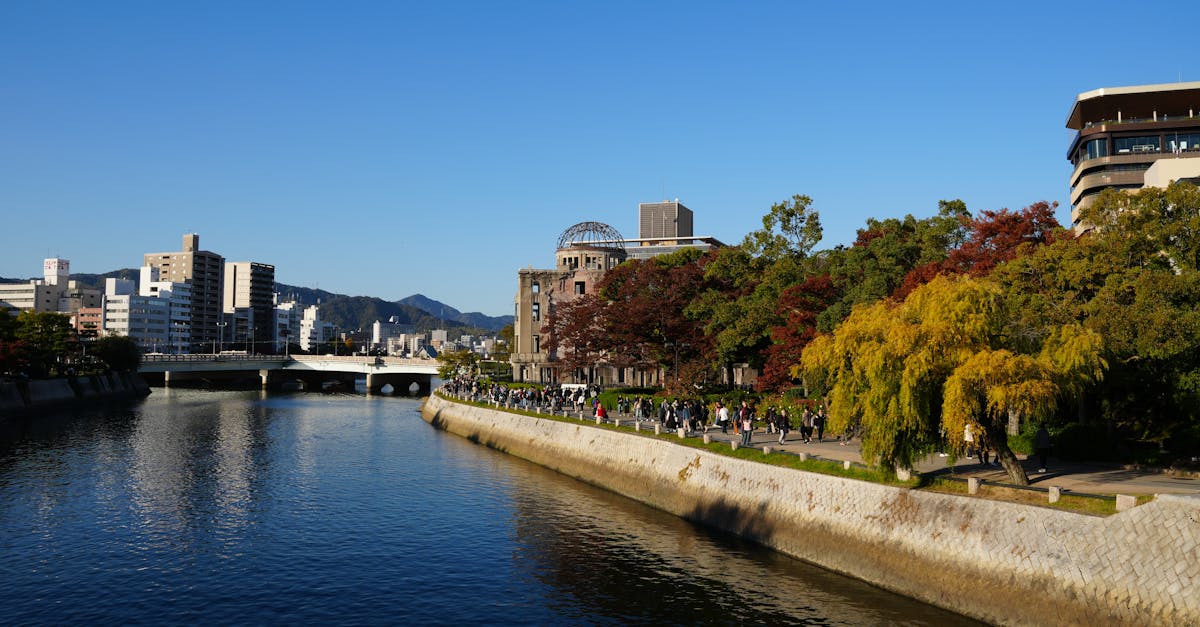 expert en déminage : techniques et équipements pour la neutralisation sécurisée des explosifs.