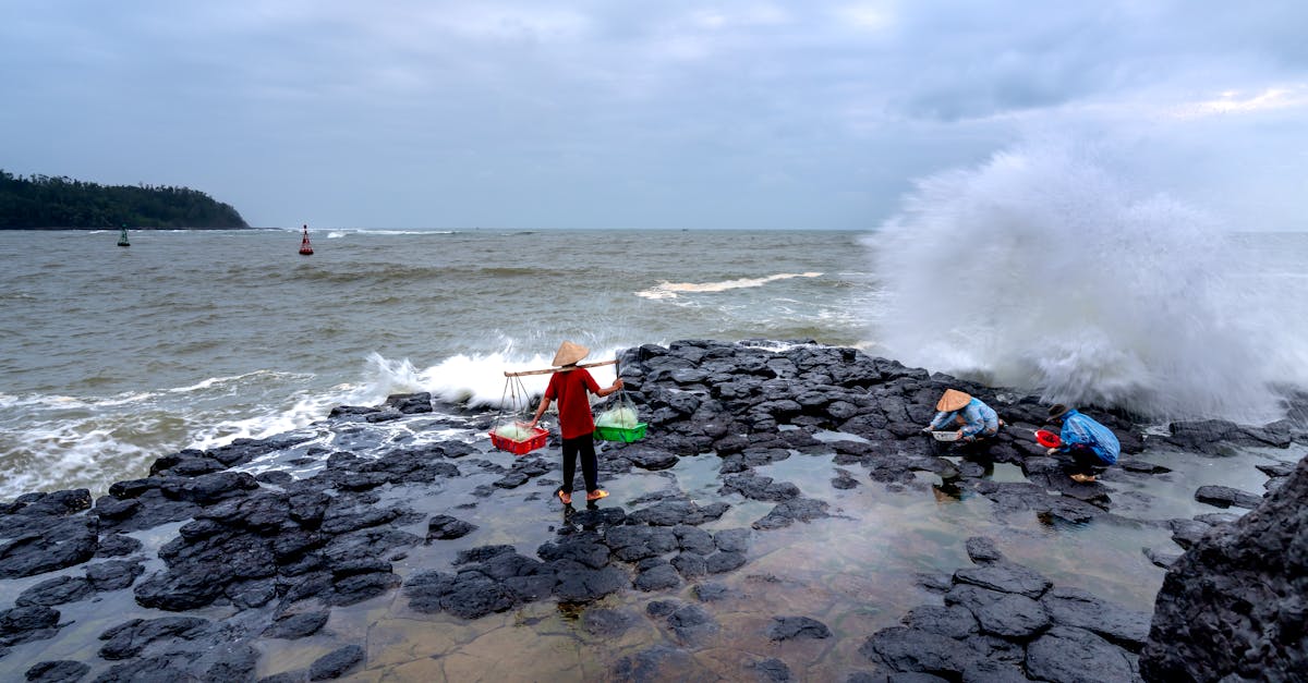 découvrez diverses carrières et explorez des opportunités professionnelles pour trouver la voie qui correspond à vos talents et aspirations.