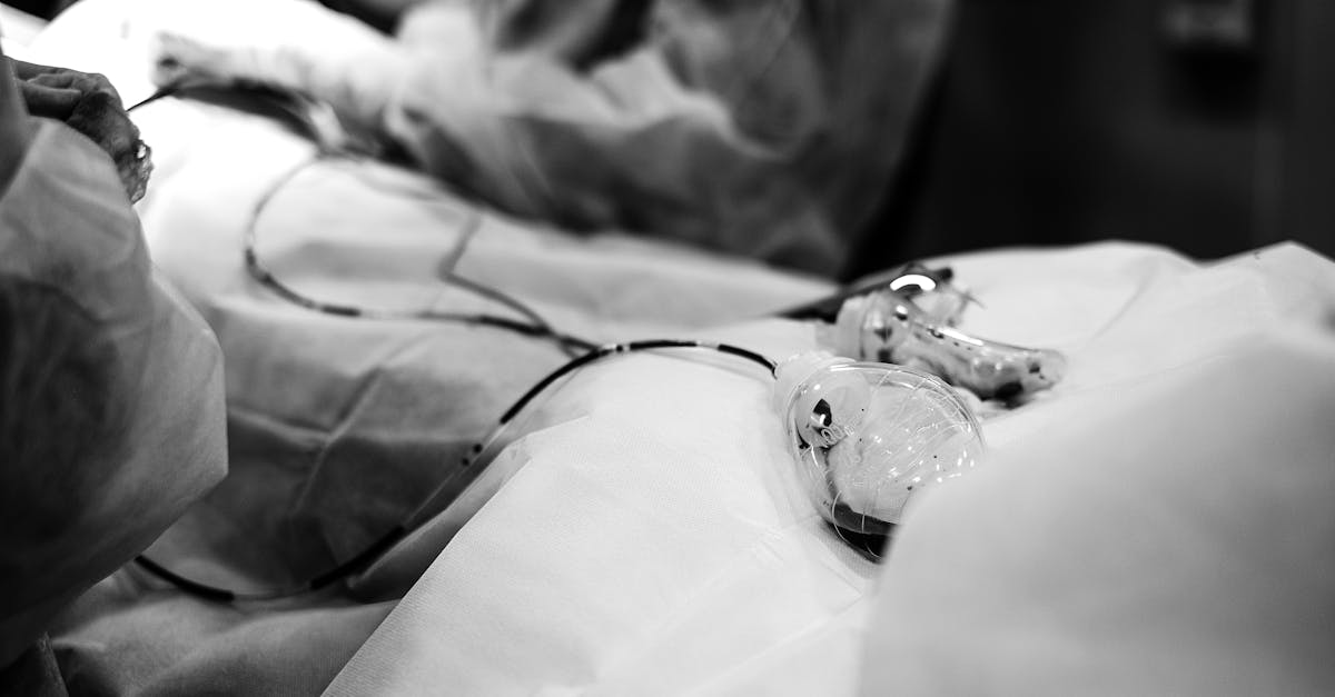 découvrez tout ce qu'il faut savoir sur le cerfa 13750 et les procédures associées pour faciliter vos démarches administratives.