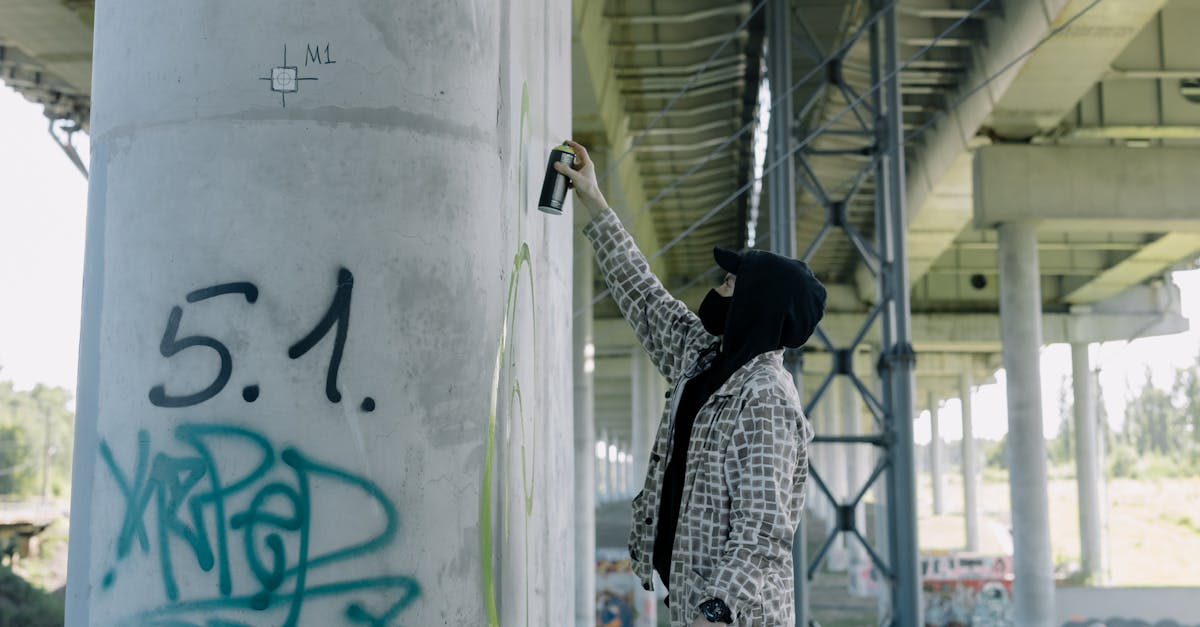 découvrez les artistes de graffiti talentueux qui transforment les murs en véritables œuvres d'art urbain, mêlant créativité et expression libre.