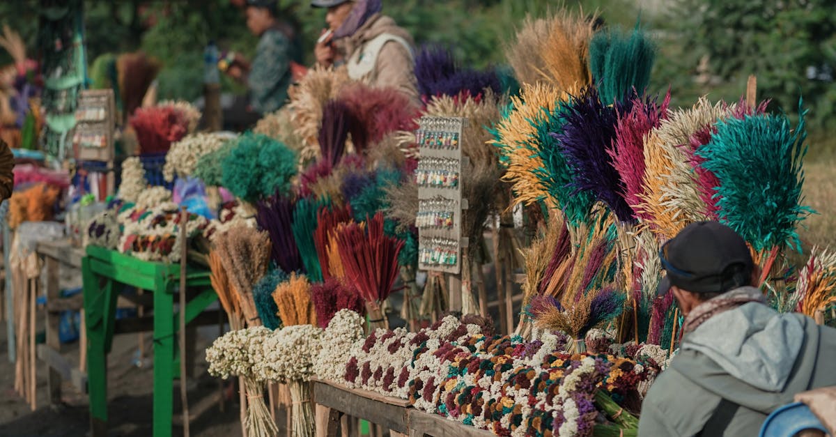 découvrez les techniques et astuces du maraîchage pour cultiver vos légumes de manière durable et optimiser la production de votre potager.
