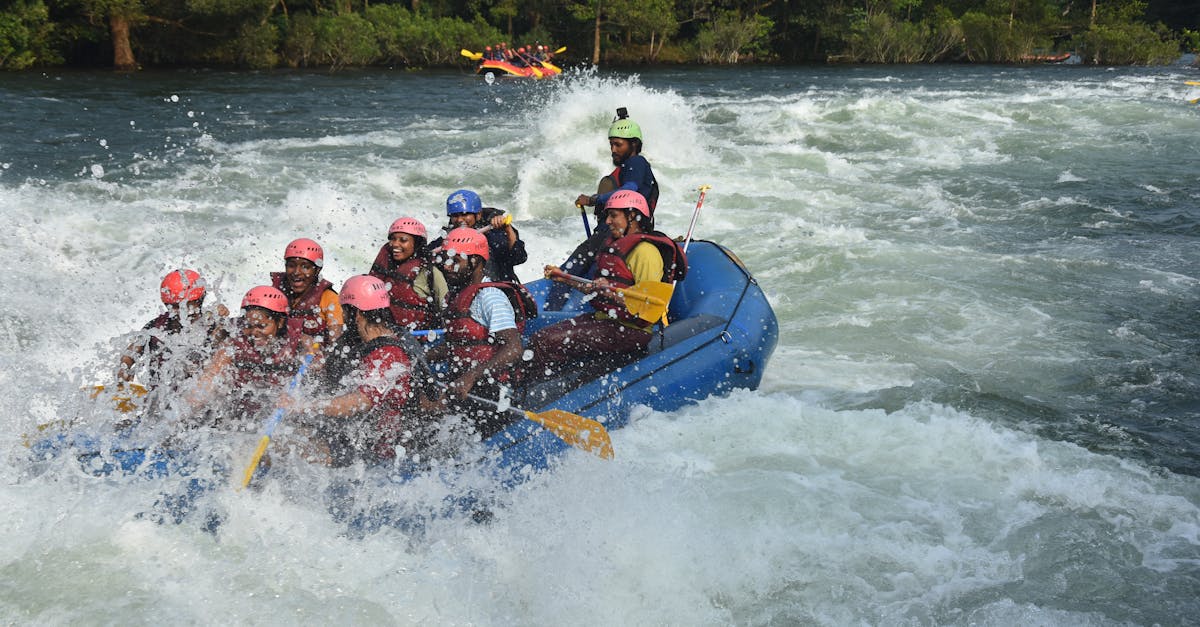 découvrez la beauté de la nature grâce à nature guide, votre compagnon idéal pour explorer, apprendre et apprécier les merveilles naturelles autour de vous.