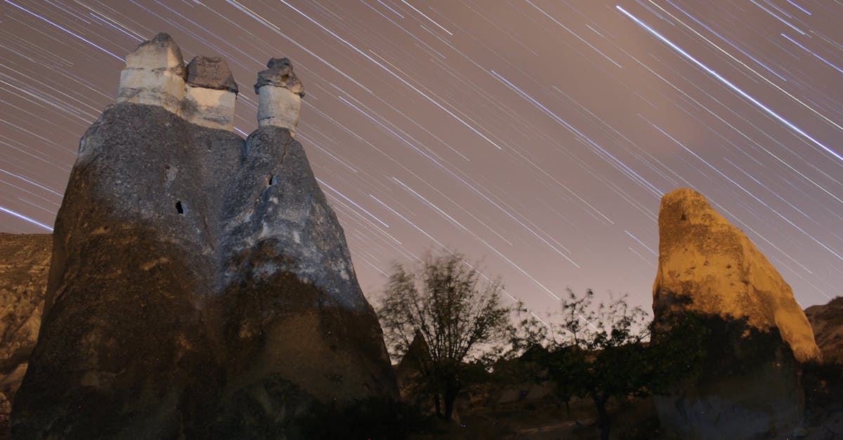 facture payée : consultez et téléchargez votre facture réglée rapidement et facilement.