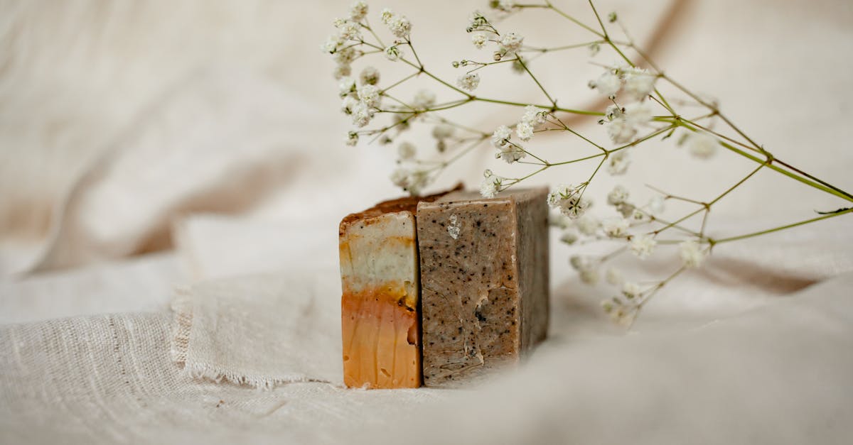 découvrez les éléments essentiels pour maîtriser la rédaction et l'utilisation des devis avec 'quotation essentials', votre guide incontournable.