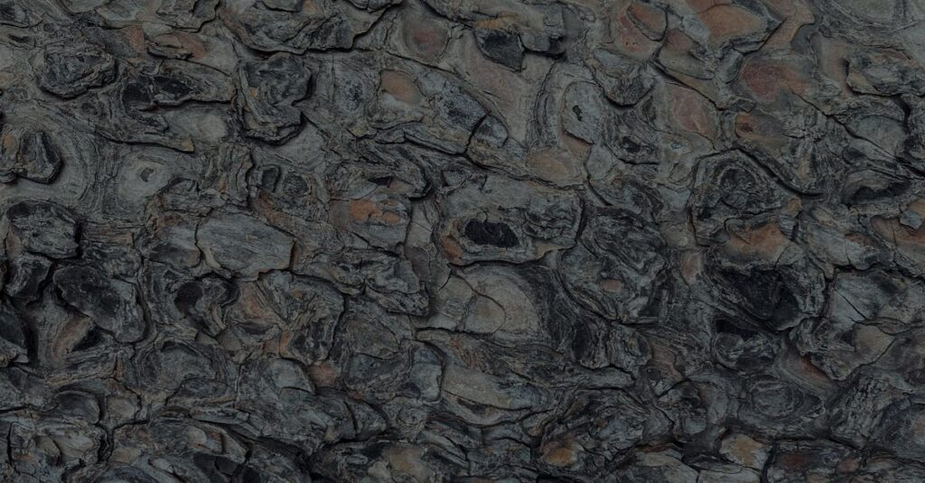 découvrez la définition et l'importance de la valeur résiduelle dans le domaine financier et automobile, ainsi que son impact sur les contrats de leasing et d'achat.