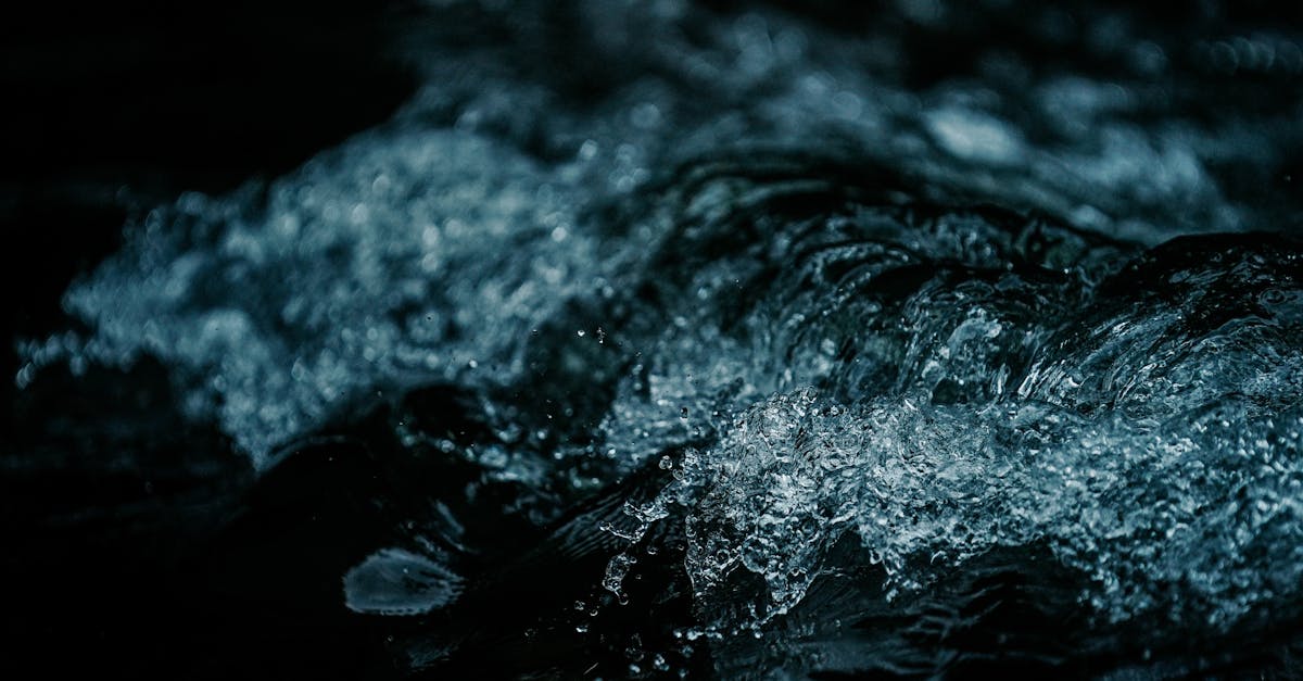 découvrez tout ce qu'il faut savoir sur la démission : démarches, conseils et droits pour quitter votre emploi en toute sérénité.