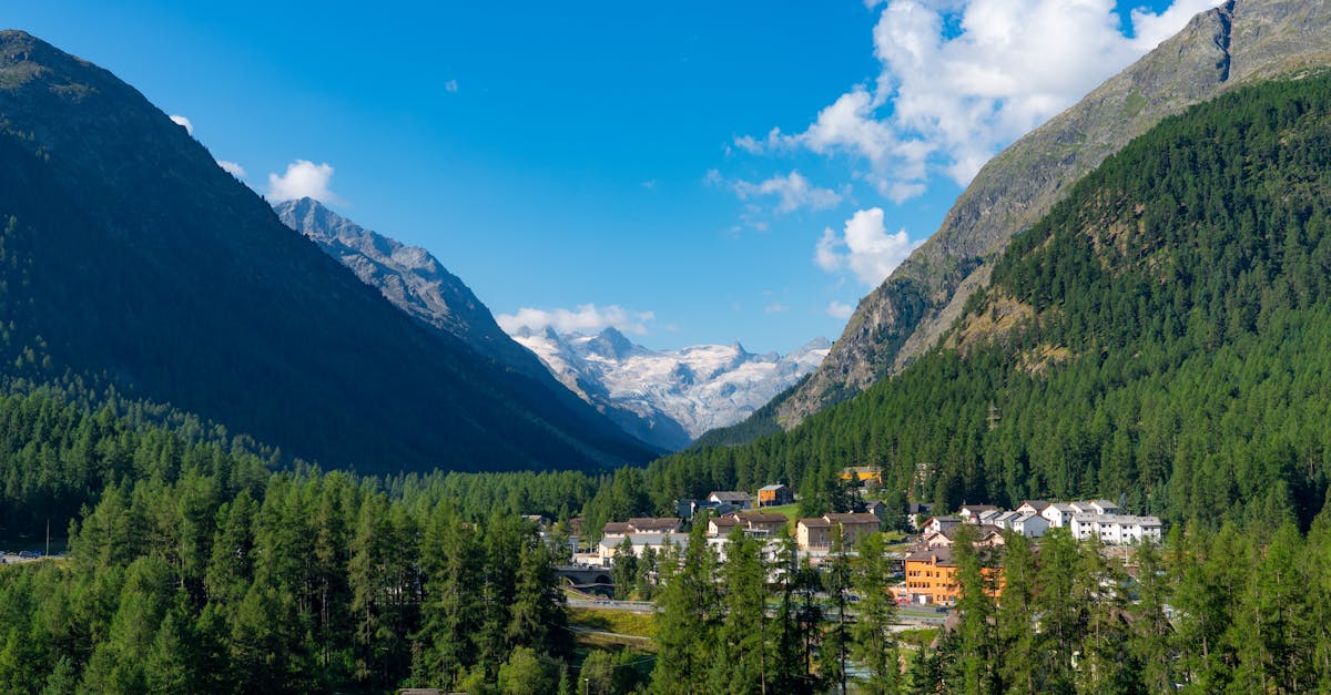 découvrez tout ce qu'il faut savoir sur la démission : procédures, conseils et démarches pour quitter votre emploi en toute sérénité.