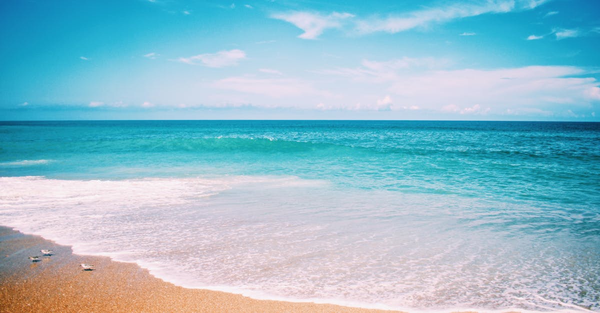 découvrez tout sur le thème sailor : mode, culture maritime et aventures en mer pour les passionnés de navigation.