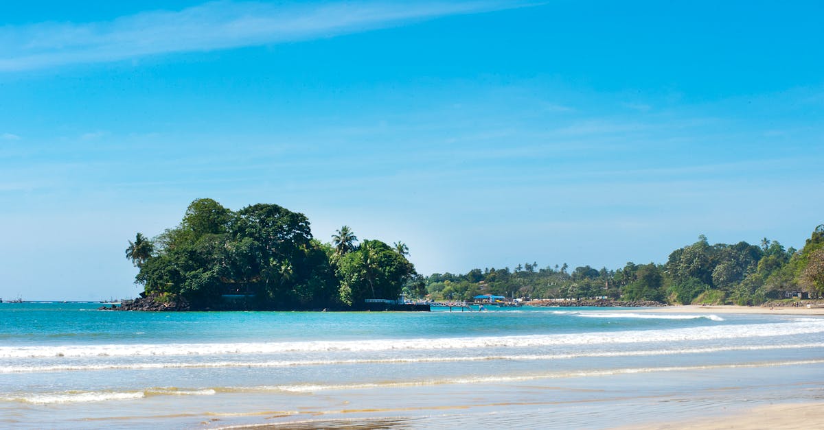découvrez l'univers des marins avec 'sailor' : aventures en mer, histoire nautique et vie à bord des navires.