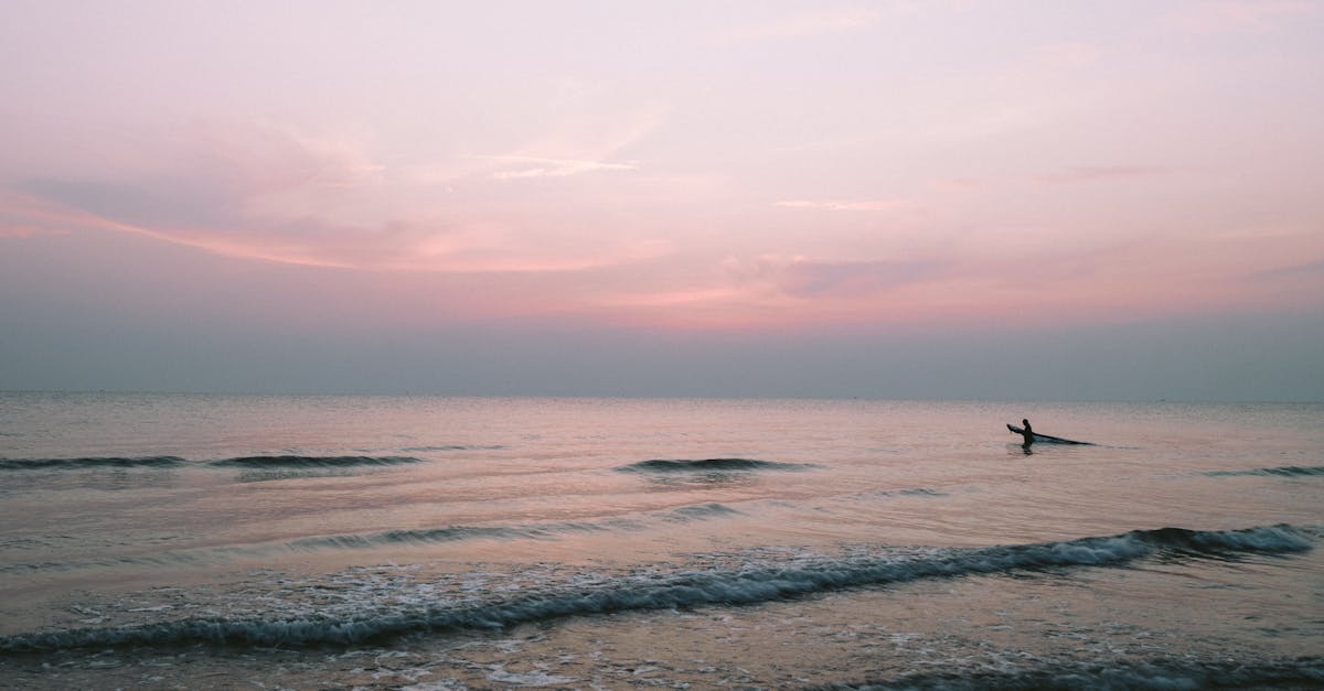 découvrez l'univers des marins avec 'sailor' : aventures en mer, traditions nautiques et vie à bord.