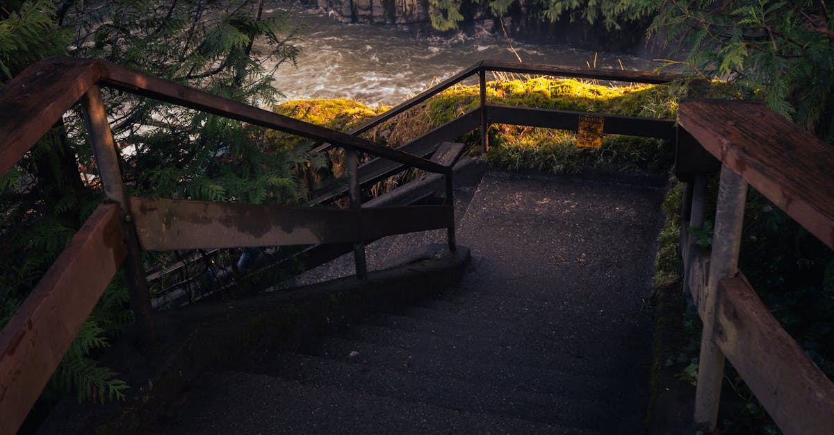 découvrez les étapes clés pour obtenir un certificat de conformité fiscale rapidement et facilement. guide complet pour réussir votre démarche de clearance fiscale.