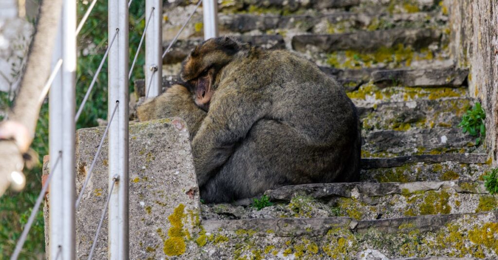 découvrez les étapes clés pour devenir vdi et réussir votre activité de vendeur à domicile indépendant.
