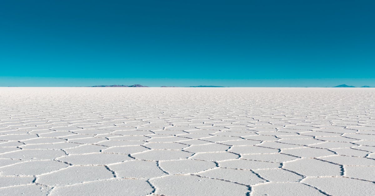 découvrez le métier de web integrator : assemblez et optimisez les éléments web pour créer des sites performants et attractifs.