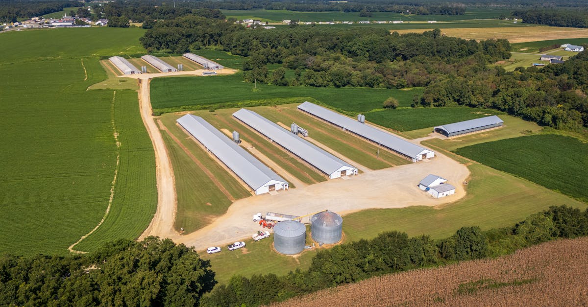 responsable de la gestion des projets de construction agricole, assurant la planification, la coordination et la supervision des chantiers pour optimiser les infrastructures agricoles.