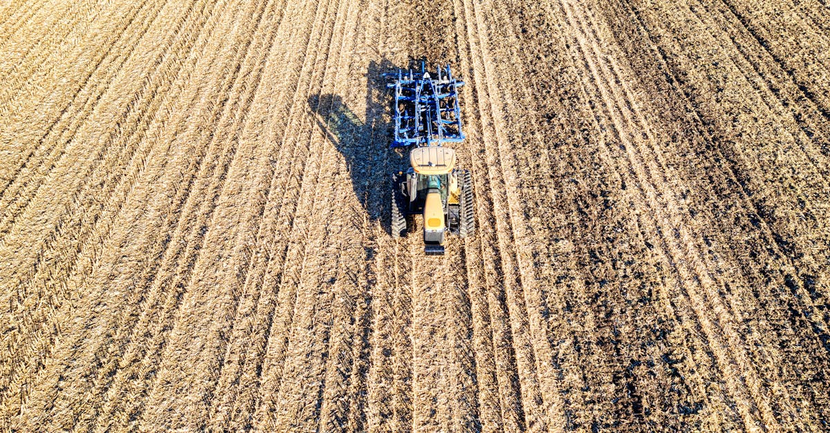 découvrez le rôle clé d'un chef de chantier en construction agricole, responsable de la gestion des projets agricoles alliant expertise technique et organisation.