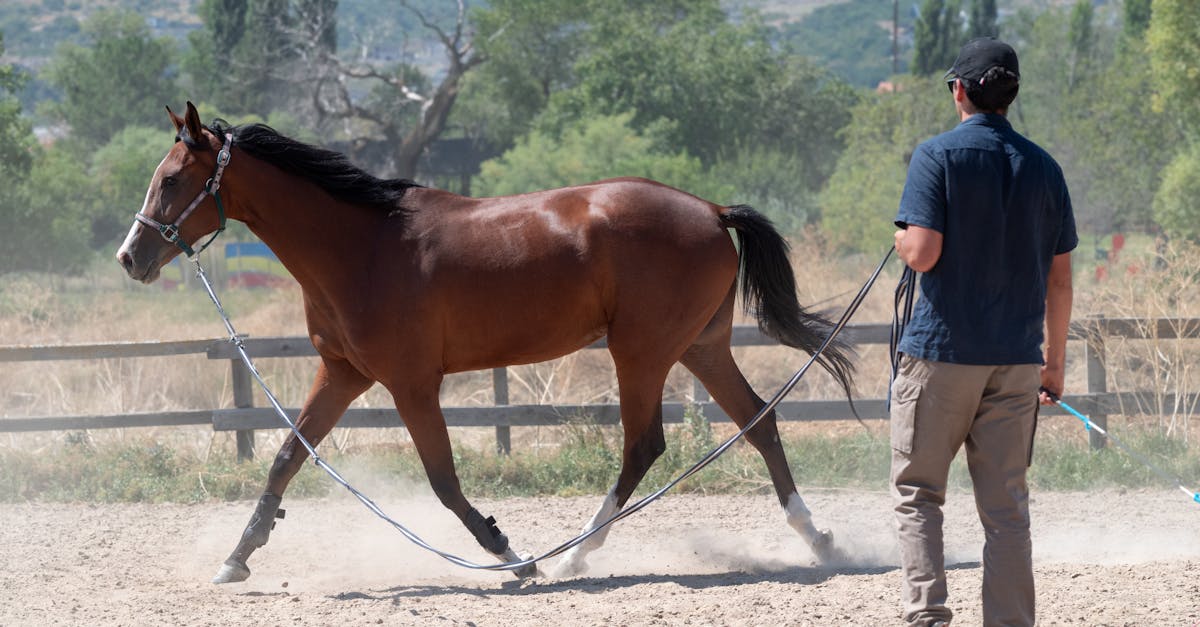 devenez formateur et transmettez vos compétences avec passion. découvrez comment devenir un professionnel de la formation et faire la différence.