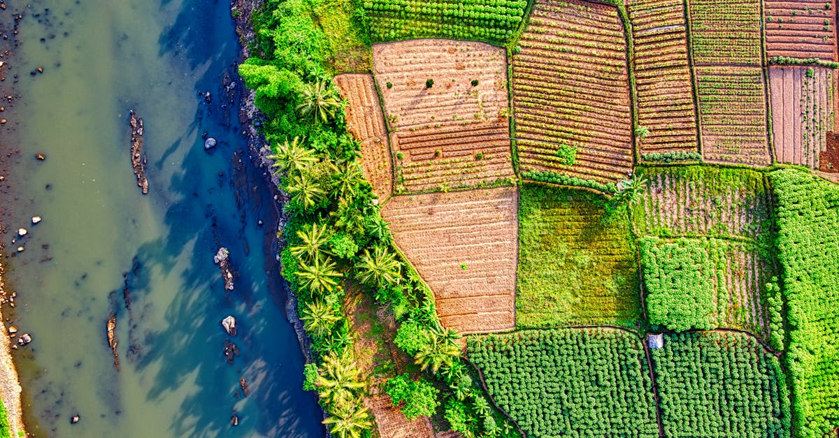 gestionnaire de projet en biodiversité : expert en coordination et mise en œuvre d'initiatives pour la protection et la conservation des écosystèmes naturels.