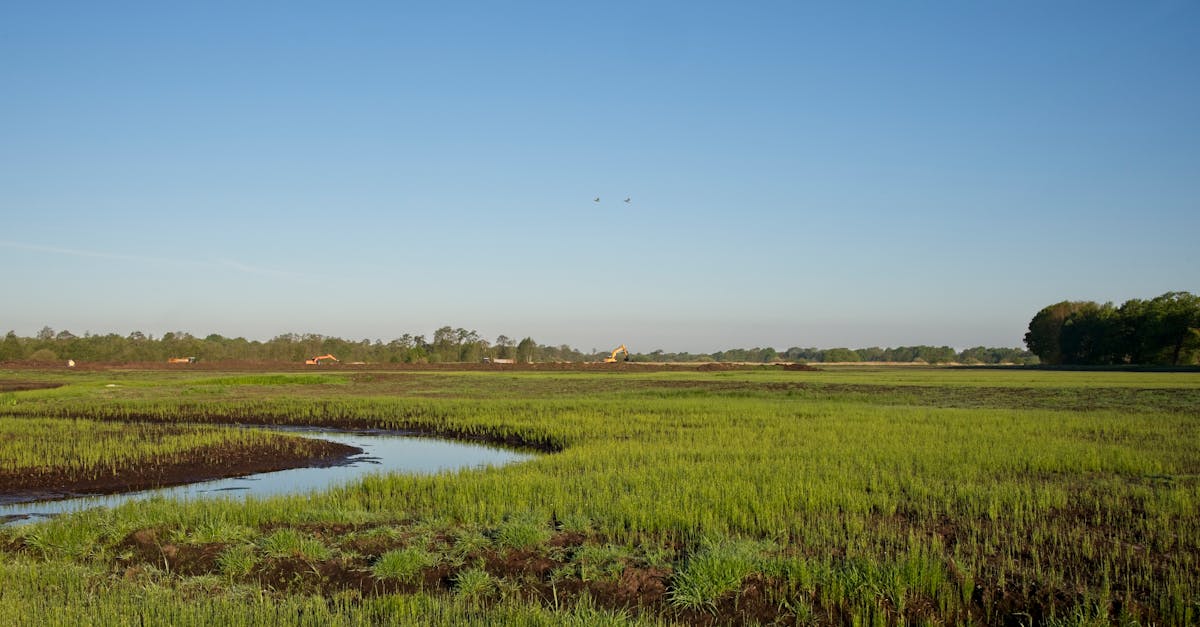 chef de projet biodiversité : responsable de la gestion, coordination et développement d'initiatives pour la protection et la restauration de la biodiversité.