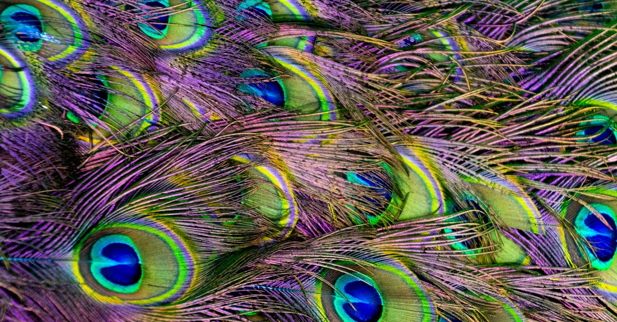 découvrez les principes et applications de la biostatistique pour analyser les données biologiques et médicales avec précision et rigueur.