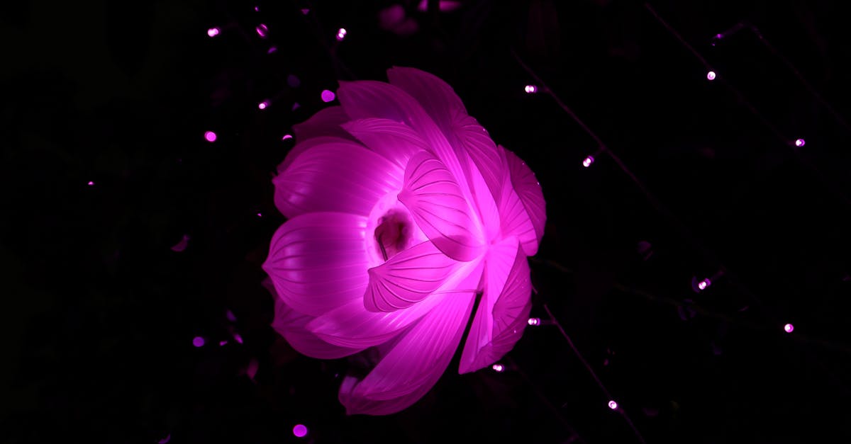 découvrez les annonces légales publiées au bodacc, le bulletin officiel des annonces civiles et commerciales, pour suivre les immatriculations, modifications et radiations des entreprises en france.