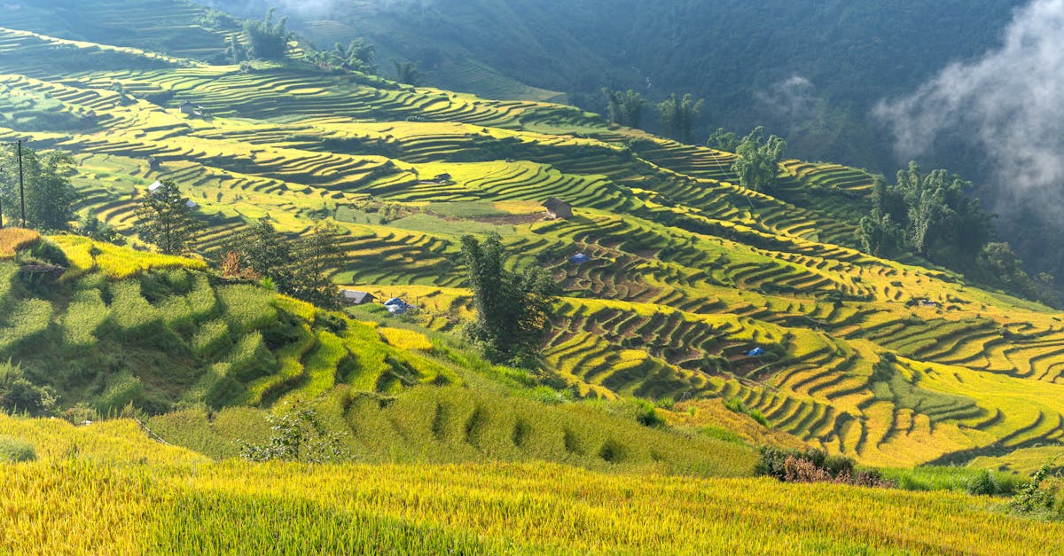 découvrez les étapes clés pour réussir l'expansion de votre entreprise et développer votre marché efficacement.