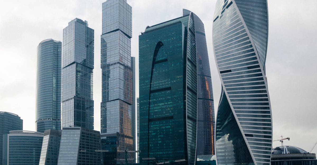 découvrez les différentes structures juridiques et organisationnelles d'entreprise pour choisir celle qui convient le mieux à votre projet.