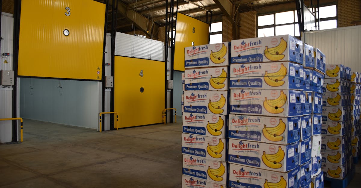 découvrez la chambre de commerce, votre partenaire pour le développement économique, l'accompagnement des entreprises et la promotion des échanges commerciaux.