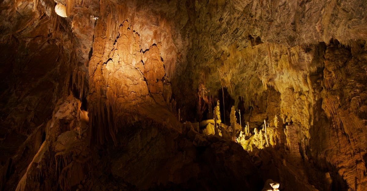 découvrez la chambre de commerce, un réseau essentiel pour soutenir et développer les entreprises locales grâce à des services, conseils et événements adaptés.