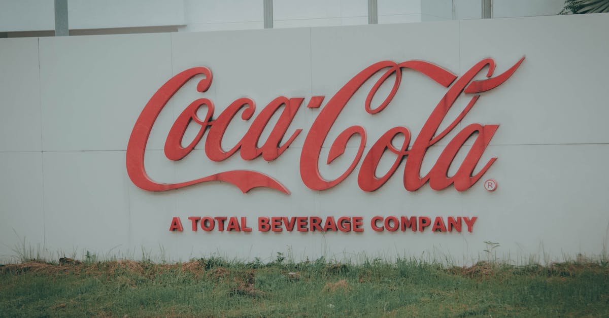 découvrez company name, votre partenaire de confiance pour des solutions innovantes et adaptées à vos besoins professionnels.