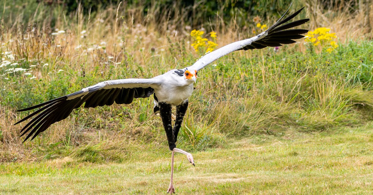 découvrez le rôle clé du secrétaire éditorial dans la gestion et la coordination des publications, assurant la qualité et la cohérence des contenus éditoriaux.