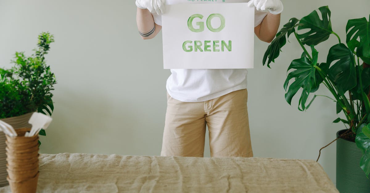 conseiller environnemental spécialisé dans l'évaluation des impacts écologiques et la mise en œuvre de stratégies durables pour protéger l'environnement.