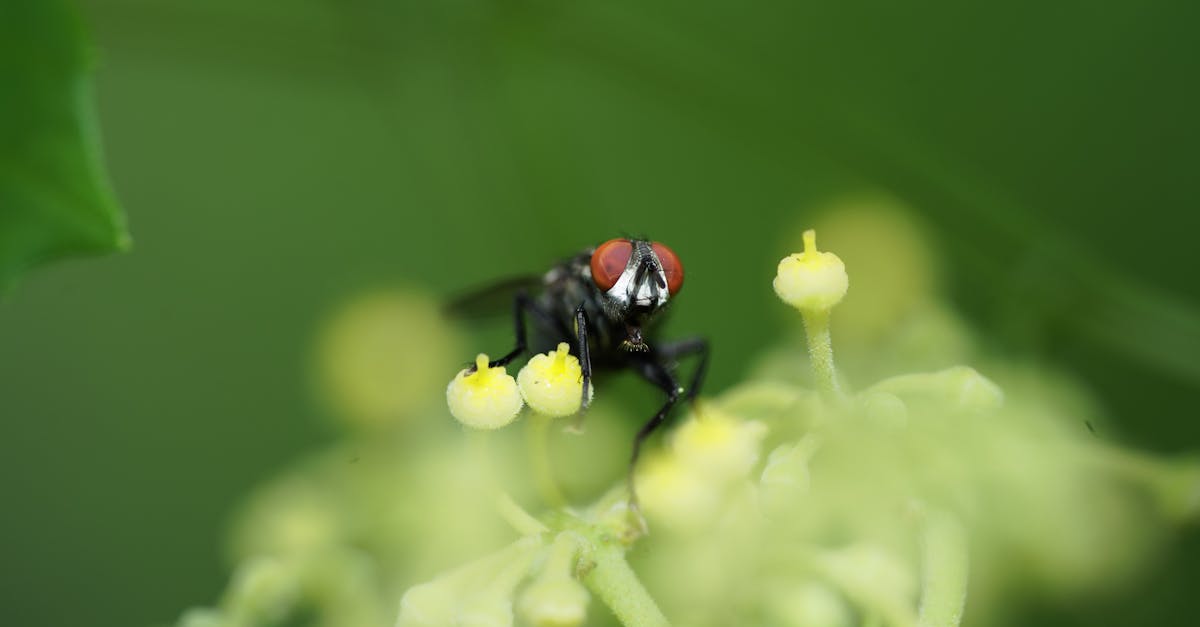 découvrez le métier de biologiste de l'environnement : étudier et protéger la biodiversité, analyser les écosystèmes, et contribuer à la préservation de la nature.