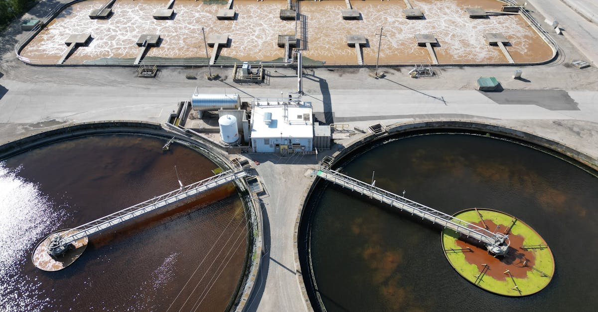 ingénieur environnemental spécialisé dans la gestion durable des ressources, la réduction des impacts écologiques et le développement de solutions innovantes pour protéger notre planète.