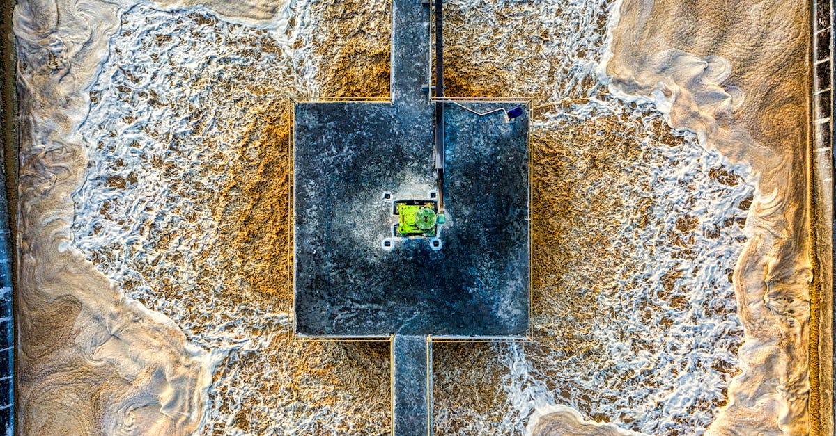 ingénieur en environnement spécialisé dans la conception et la mise en œuvre de solutions durables pour protéger et restaurer les écosystèmes.