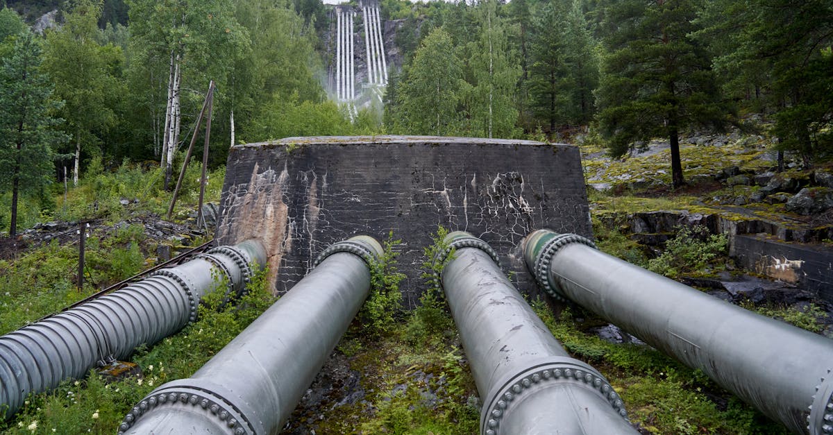 ingénieur environnemental spécialisé dans la conception et la mise en œuvre de solutions durables pour la protection de l'environnement et la gestion des ressources naturelles.