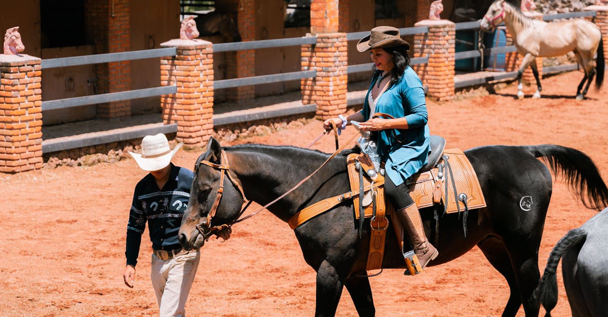 découvrez notre guide complet du tourisme équestre, avec des conseils pratiques pour des randonnées à cheval inoubliables et des destinations idéales pour les passionnés d'équitation.