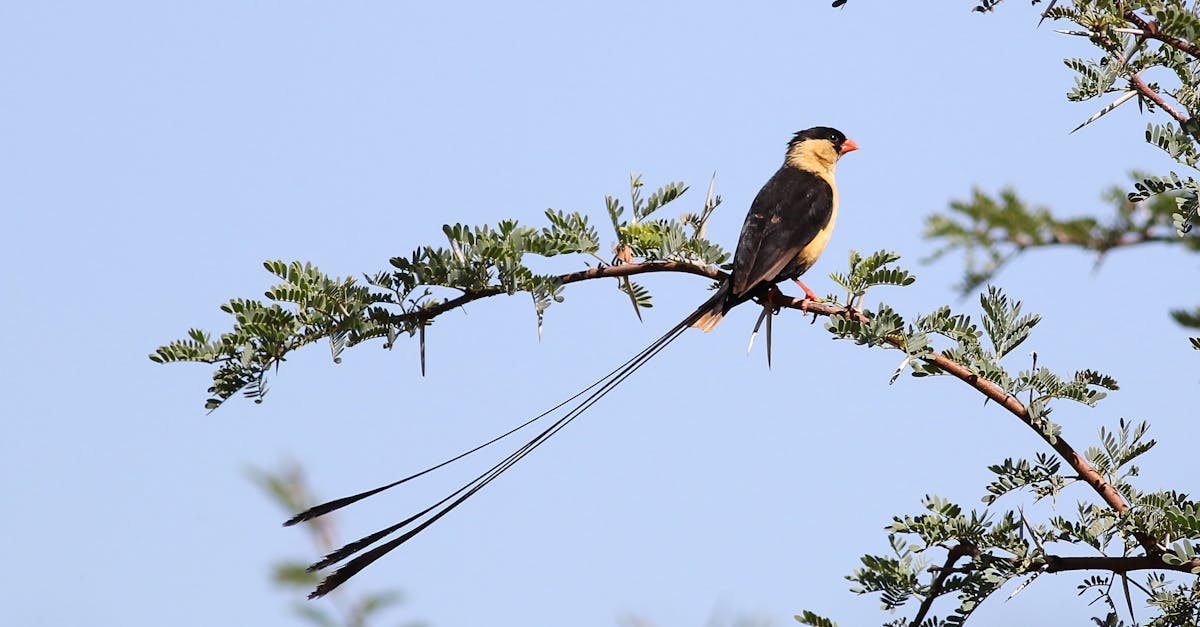 comprendre les obligations financières : définition, types et gestion efficace pour assurer votre stabilité économique.