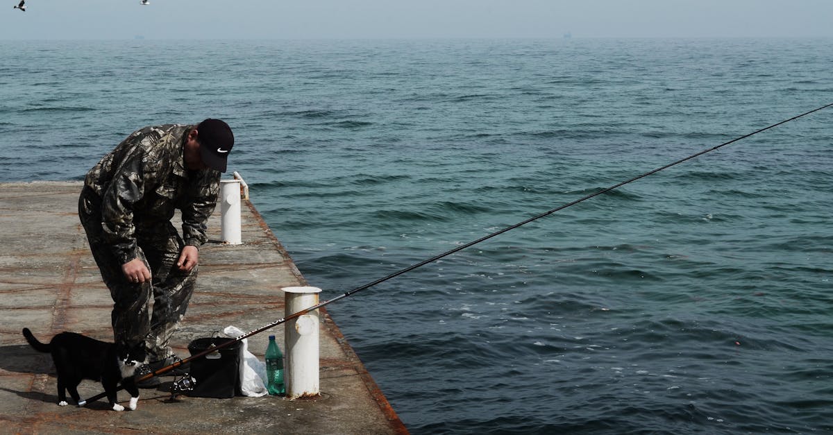découvrez tout sur les pêches : techniques, durabilité et gestion des ressources marines pour un avenir responsable.