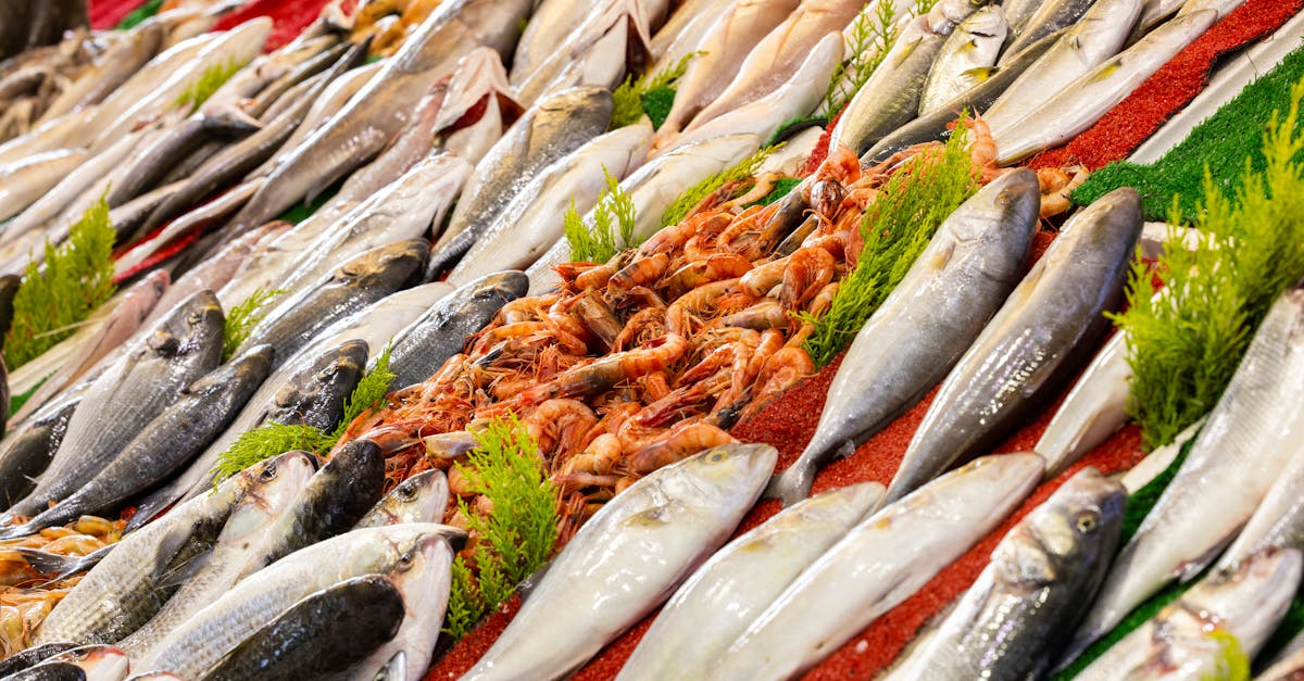 découvrez les différentes techniques de pêche durable et la gestion des ressources halieutiques pour préserver les écosystèmes marins.