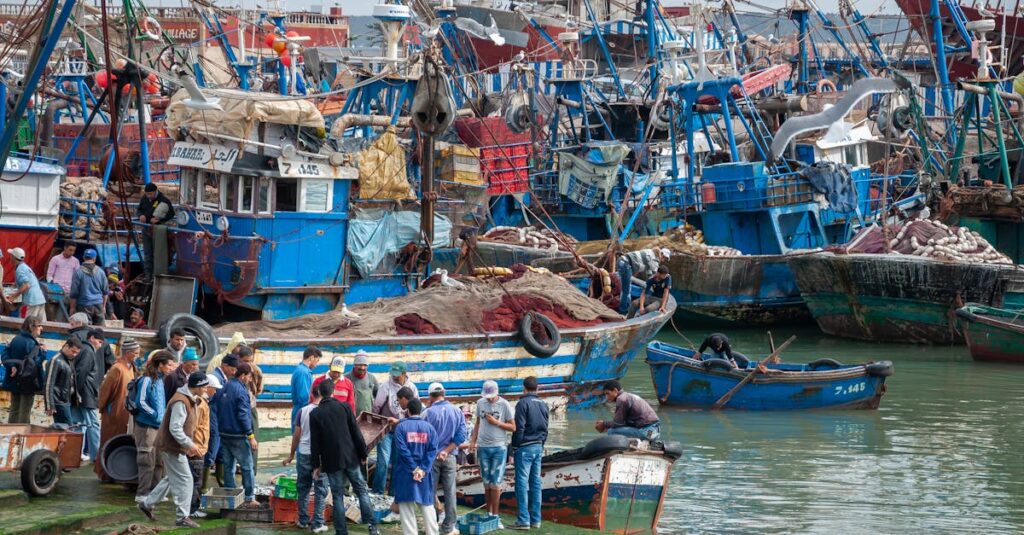 découvrez l'expérience unique d'un capitaine de pêche expert, prêt à vous guider vers des sessions de pêche inoubliables en mer.