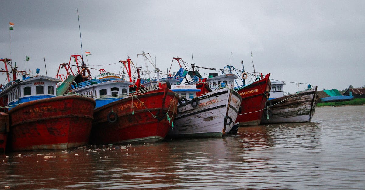 découvrez l'expérience unique d'un capitaine de pêche professionnel, expert en navigation et en techniques de pêche pour des sorties inoubliables en mer.