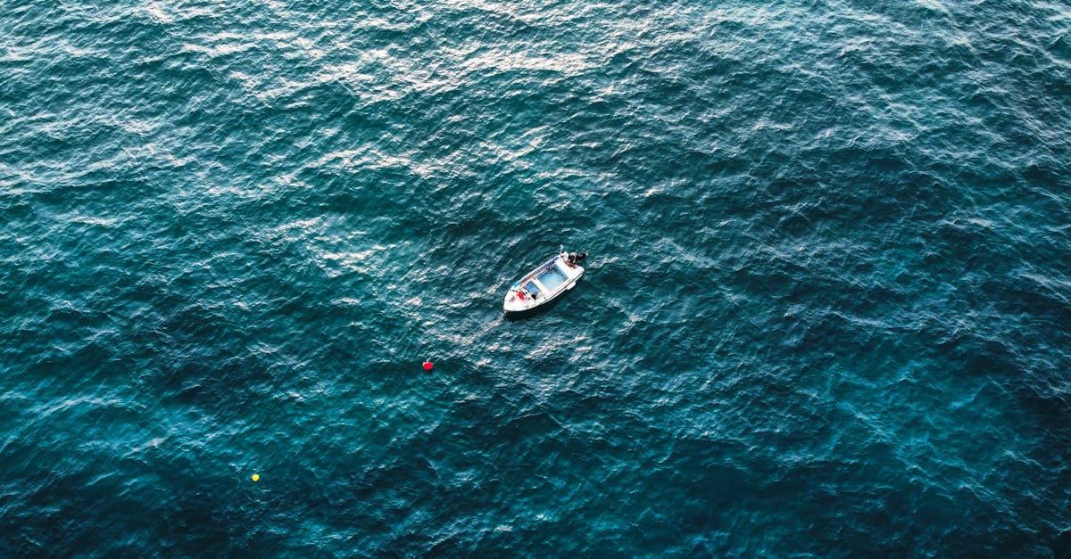 devenez un expert en pêche avec notre guide complet pour capitaine de pêche. découvrez des conseils, techniques et équipements indispensables pour réussir vos sorties en mer.