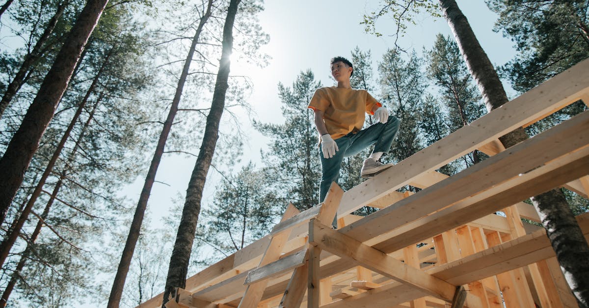 découvrez le métier de forestier : expert de la gestion, de l'entretien et de la protection des forêts pour un environnement durable.