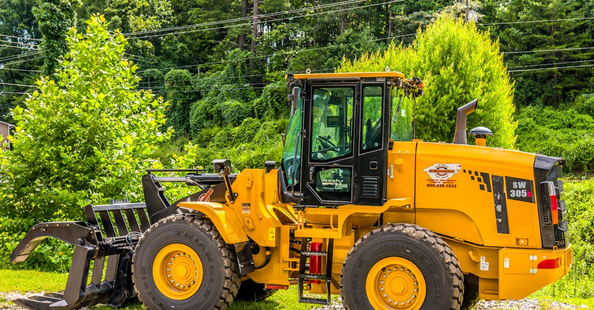 ingénieur forestier spécialisé dans la gestion durable des ressources forestières, la conservation de l'environnement et l'aménagement des espaces boisés.
