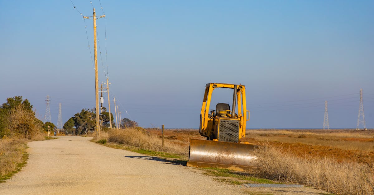 découvrez le métier d'ingénieur forestier : gestion durable des ressources forestières, protection de l'environnement et développement de projets en sylviculture.